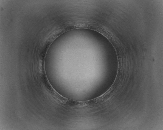 X0000074310696200608251236