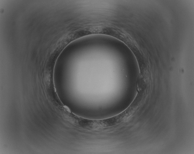 X0000074310697200608251236