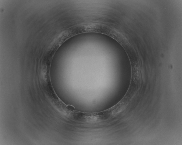 X0000074310698200608251236