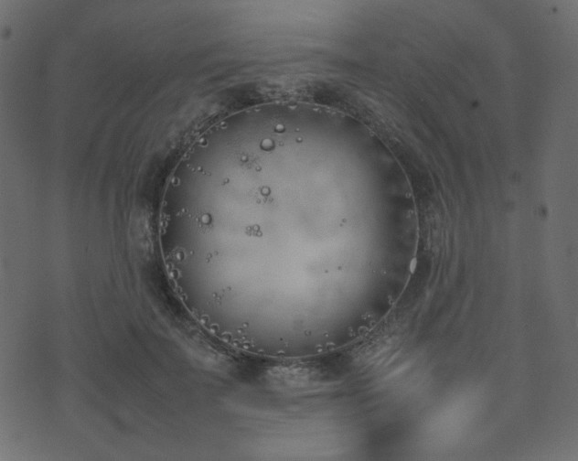 X0000074310699200608251236