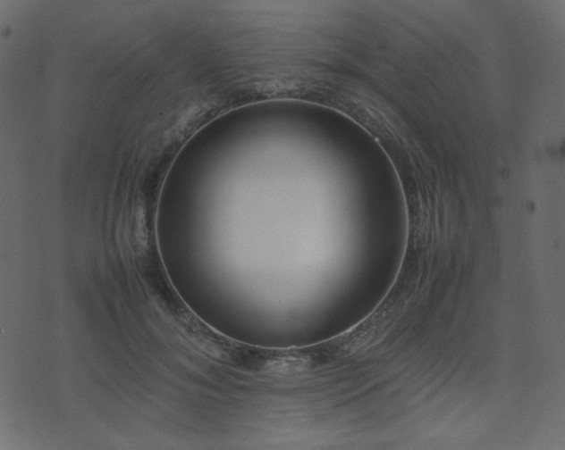 X0000074310700200608251236