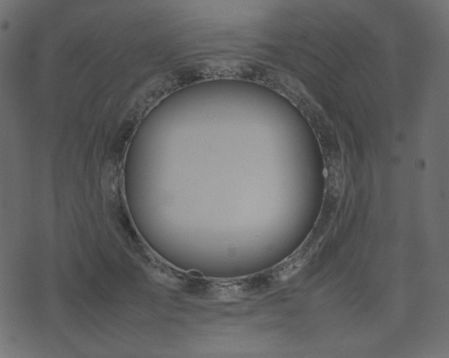 X0000074310701200608251236