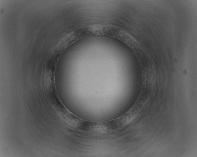 X0000074310702200608251236