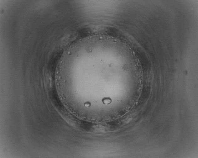 X0000074310703200608251236