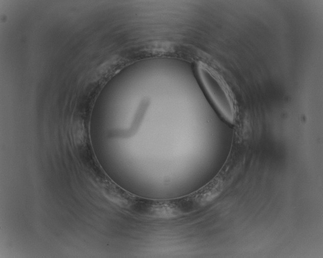 X0000074310704200608251236