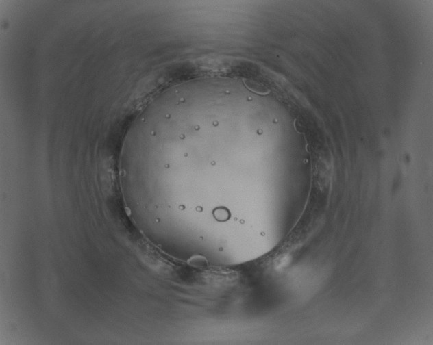 X0000074310707200608251236