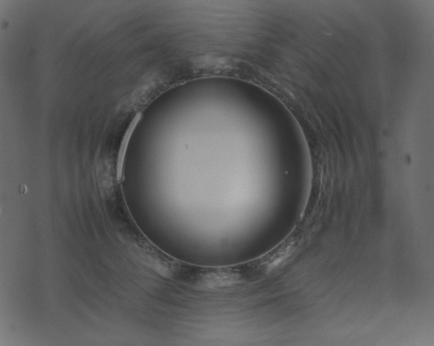 X0000074310708200608251236