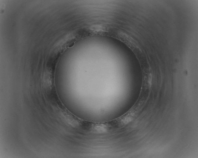 X0000074310710200608251236