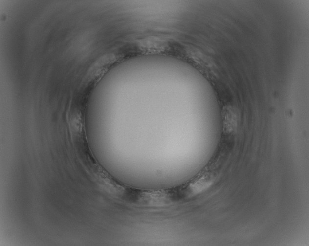 X0000074310713200608251236