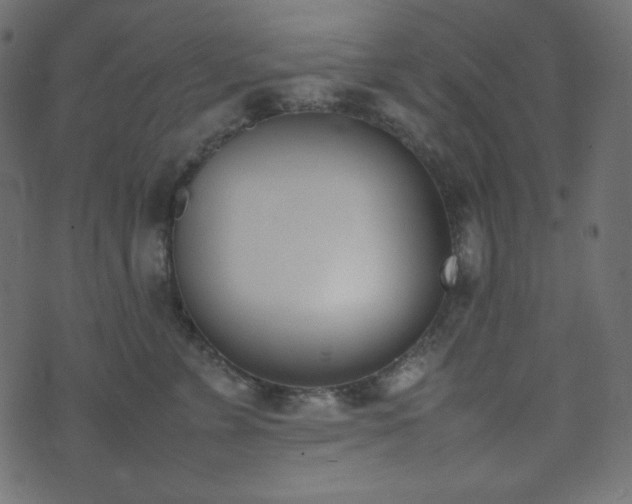 X0000074310715200608251235