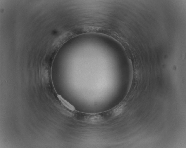 X0000074310716200608251235