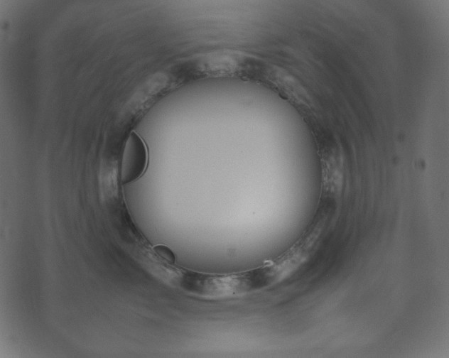 X0000074310717200608251235