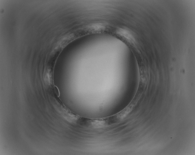 X0000074310718200608251235