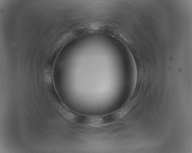 X0000074310719200608251235