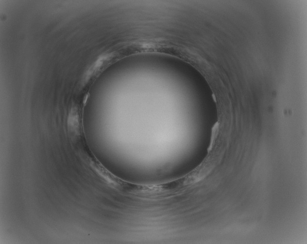 X0000074310720200608251235