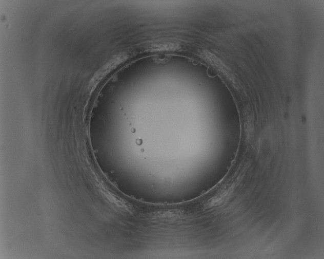 X0000074310721200608251235