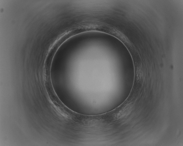 X0000074310722200608251235