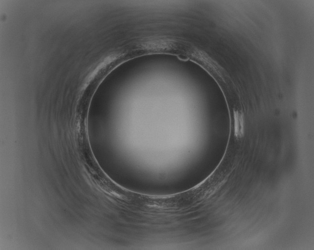 X0000074310723200608251235