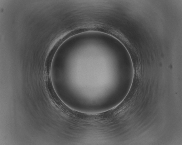 X0000074310724200608251235