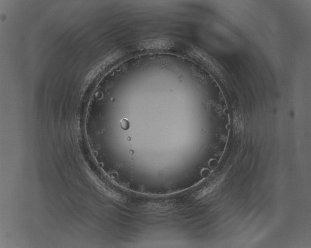 X0000074310725200608251235