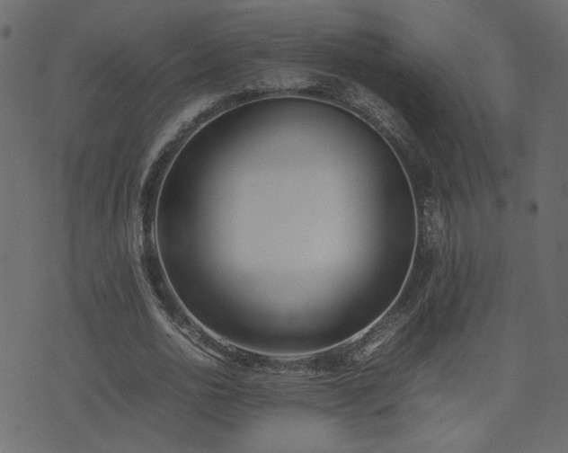 X0000074310726200608251235