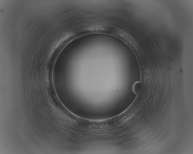 X0000074310727200608251235