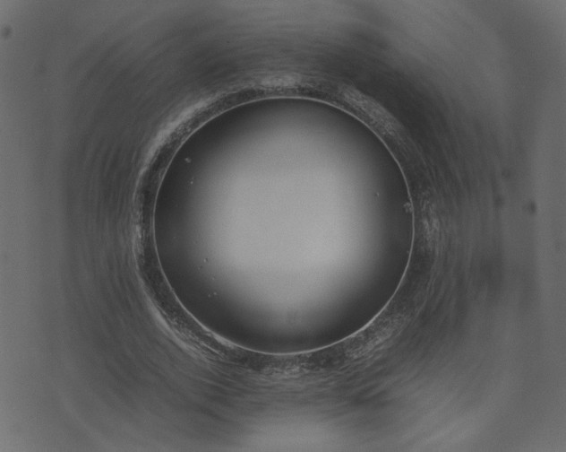 X0000074310728200608251235