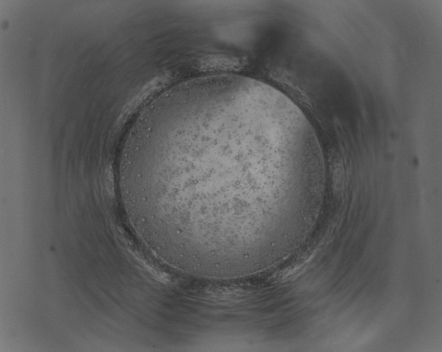 X0000074310729200608251235