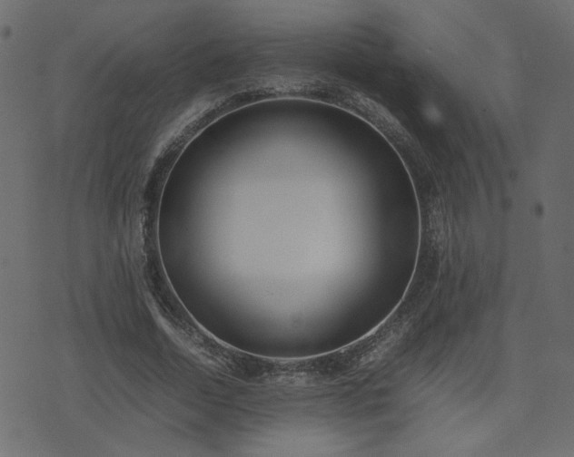 X0000074310730200608251235