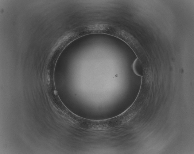 X0000074310731200608251235