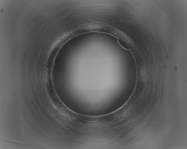 X0000074310732200608251235