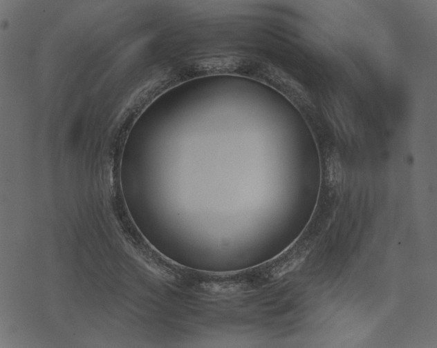 X0000074310733200608251235