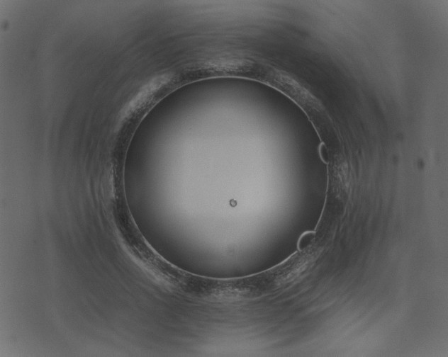 X0000074310734200608251235