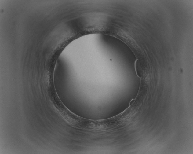 X0000074310735200608251235