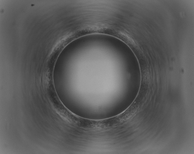 X0000074310736200608251235