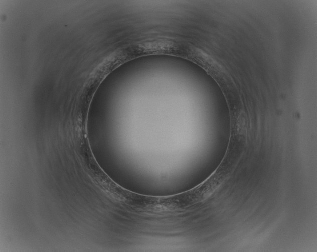 X0000074310737200608251235