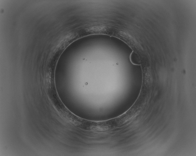 X0000074310739200608251235