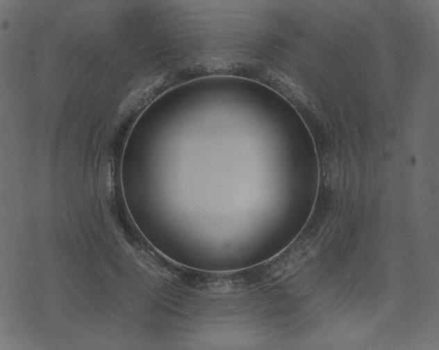 X0000074310740200608251235