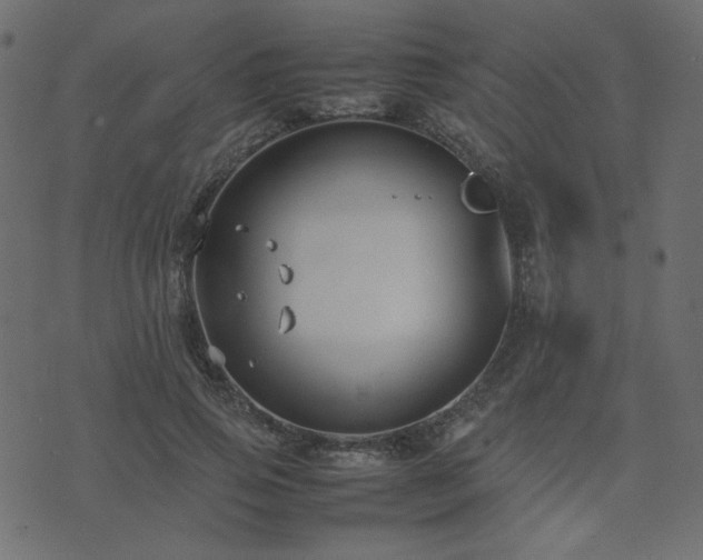 X0000074310741200608251235