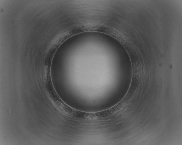 X0000074310742200608251235