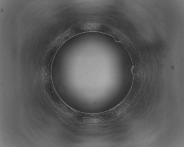 X0000074310743200608251235