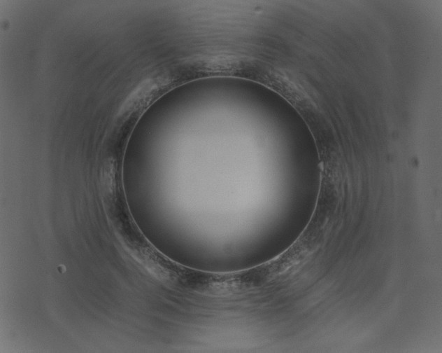 X0000074310744200608251235