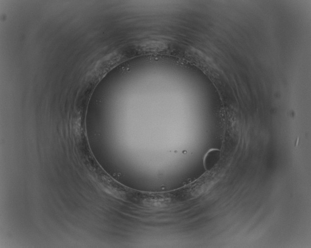 X0000074310745200608251235