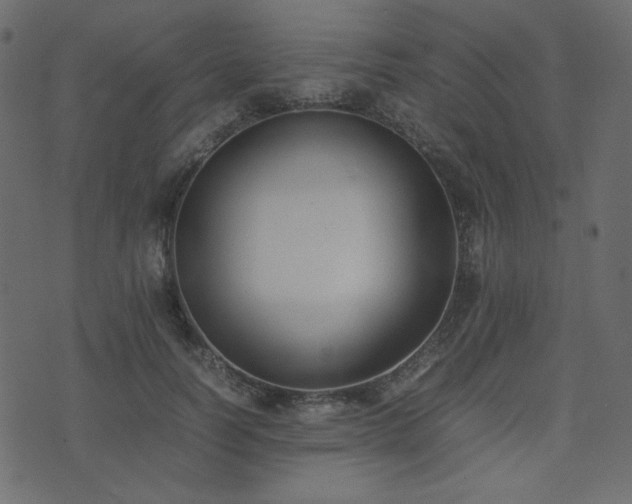 X0000074310746200608251235