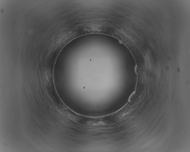 X0000074310747200608251235