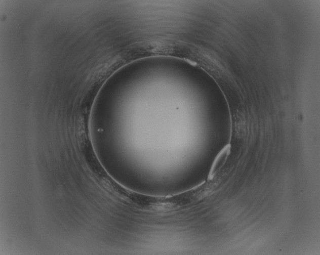 X0000074310748200608251235