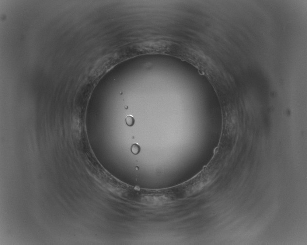 X0000074310749200608251235