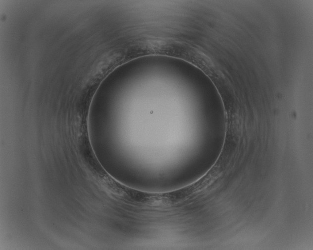 X0000074310750200608251235