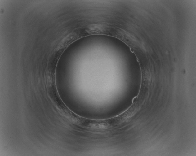 X0000074310751200608251235