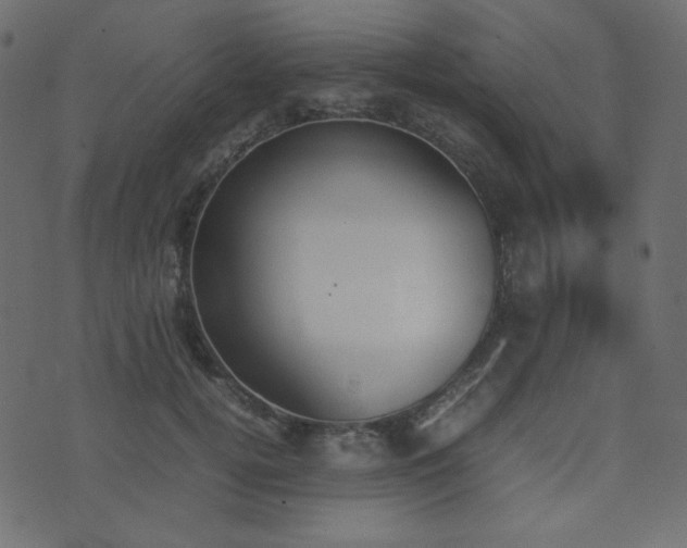 X0000074310752200608251235